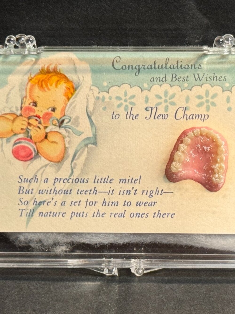 Vintage Novelty Baby Dentures Gag Gift "New Champ" Gildon Products Niles MI